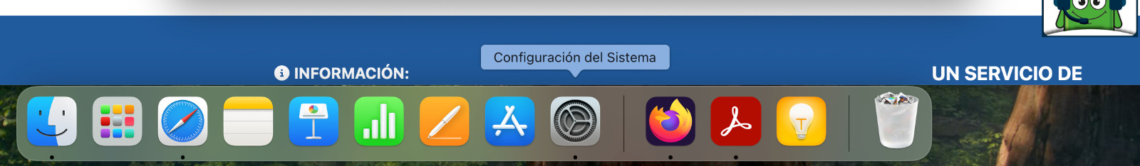 Icono del sistema en el Launchpad