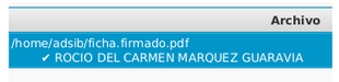 Acceso al Detalle de Validación